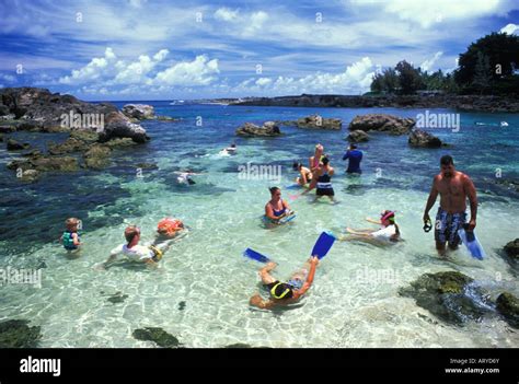 Pupukea Beach Park (also know as Sharks Cove ) is a favorite spot for ...