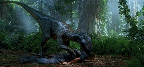 Jurassic Park - Raptor | Parque jurássico, Dinossauros, Filmes