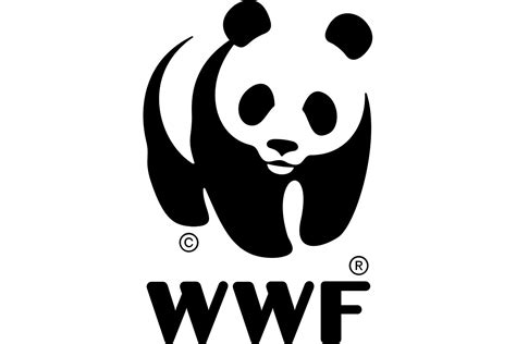 The Top 10 Wildlife Conservation Organizations