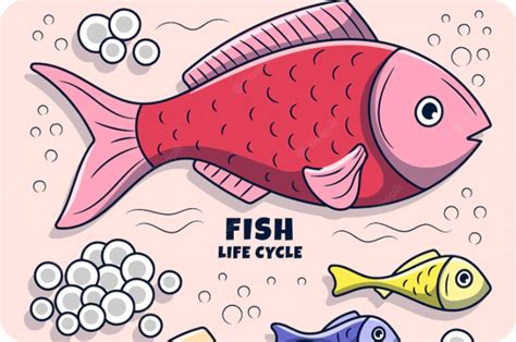 How Do Fish Reproduce? | YoyiPet