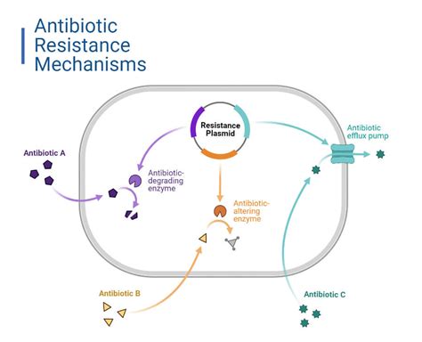 ESKAPE Pathogens and Antimicrobial Resistance