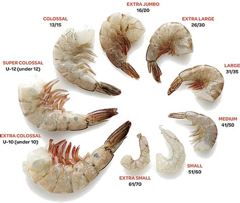 Prawn Sizing | Cooking corner