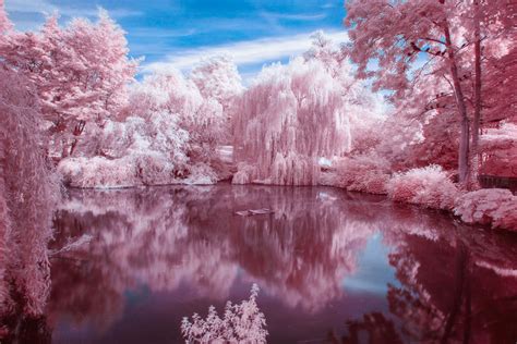 HOYA | Reviews - Infrared photography with the HOYA R72 filter