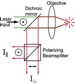 Fluorescence Anisotropy - Projects - Foster Lab - University of ...