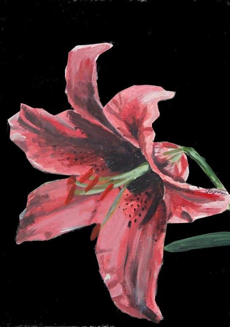 Stargazer Lily Painting by Stephanie Kelly - Fine Art America