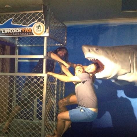 Great White Shark Cage Diving in Australia