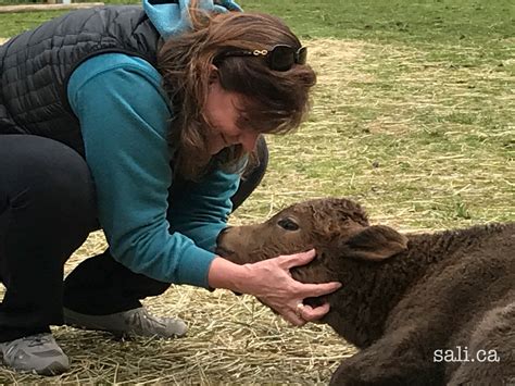 It doesn't take long for our rescue animals to feel safe and loved 💟 ...