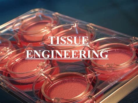 TISSUE ENGINEERING