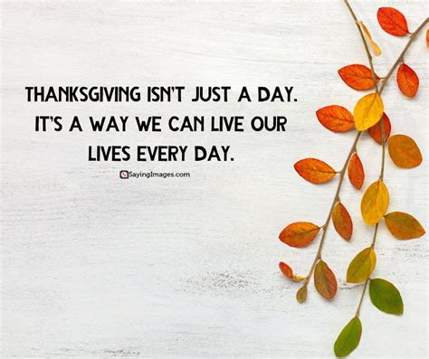 30 Inspiring Happy Thanksgiving Quotes for Family and Friends ...