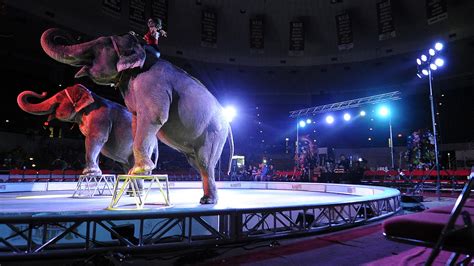 'Worst' circus visits Greenville for center's last show using animals