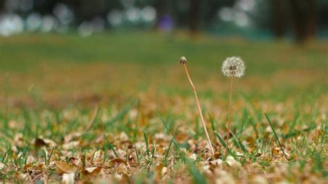 Premium Photo | Chinese landscape photography