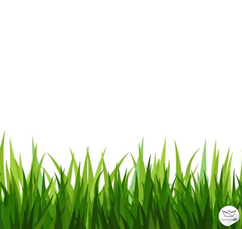 19 Grass Vector Background Graphics Images - Illustrator Grass Vector ...