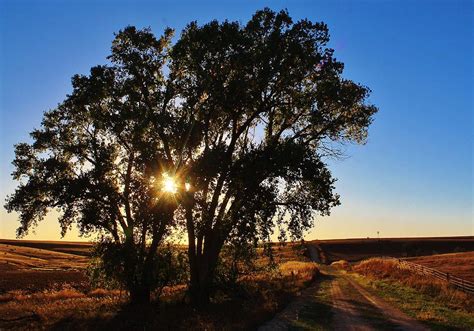 Kansas Prairie Sunset Photograph by Greg Rud | Fine Art America