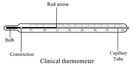 Laboratory Thermometer Diagram - Charles Anderson