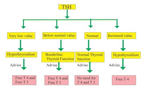 Thyroid - Part 1 - Thyroid Function Test (Thyroid Hormones) T4, T3, TSH ...