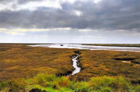 Construction Starts on Wallasea Island - Europe's Largest Man Made ...