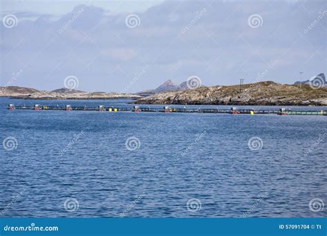 Fish cage stock photo. Image of coasts, summer, nature - 57091704