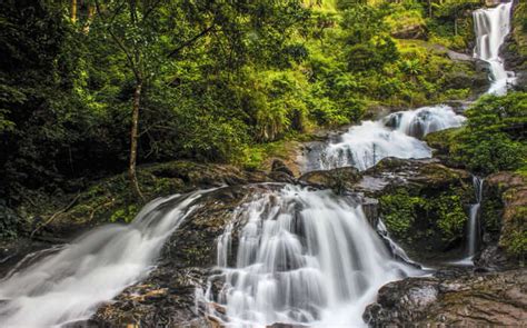 Trekking In Coorg: 15 Trails For An Adventurous Trip In 2023!