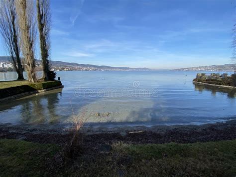 Lake Zurich Zuerichsee Oder Zürichsee and a Coastal Landscape with ...