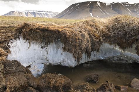 Melting Permafrost Soil Rapidly Warming the Arctic Region May Emit ...