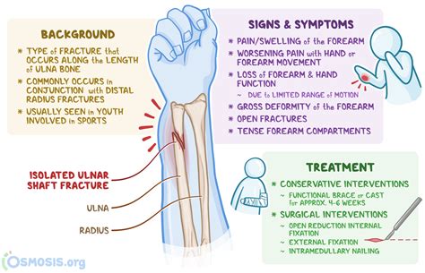 Ulna Bone Fracture