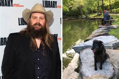 Chris Stapleton Performed Heartbreaking Tribute to Family Dog, 'Maggie ...