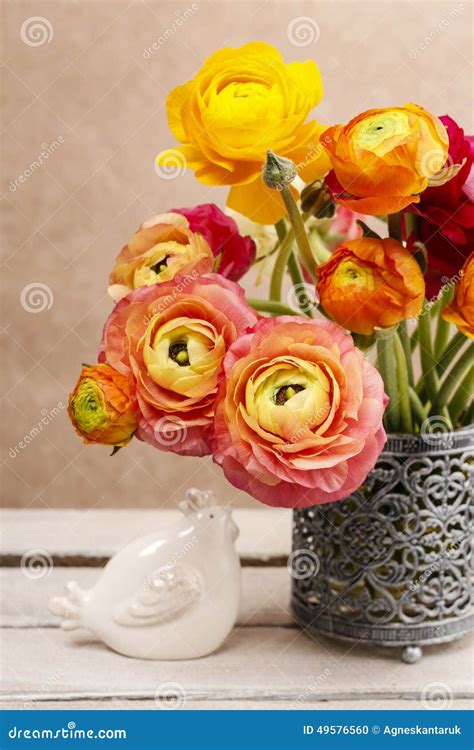 Bouquet of Colorful Persian Buttercup Flowers (ranunculus) Stock Photo ...