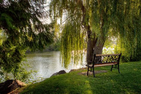 Boise River Greenbelt | Photos of the Boise River Greenbelt