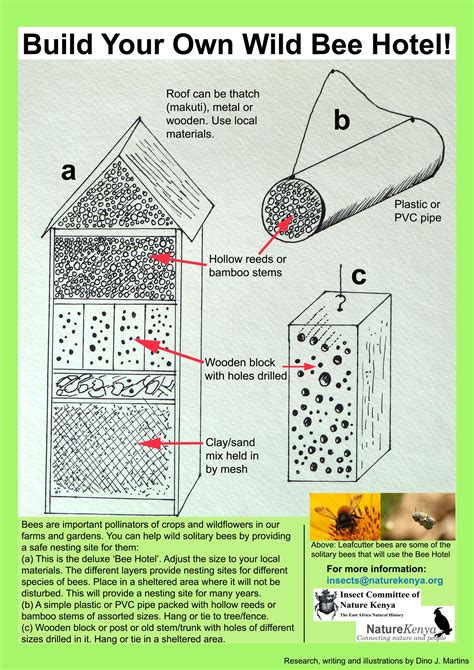 Build Your Own Bee Hotel | National Geographic Society