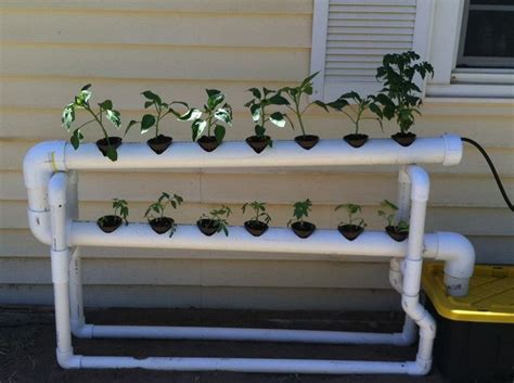 Best 25+ Easy Hydroponic Garden Ideas For Good Alternative Garden in ...