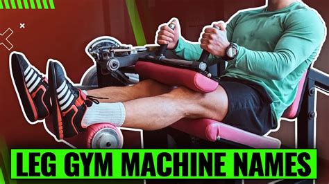 17 Leg Gym Machine Names Uncovered