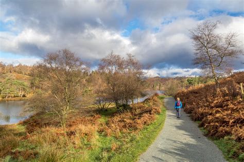 Tarn Hows walk - The Tarns walk - Coniston walks - Lake District walks