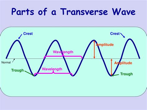 Anatomy Of A Wave Diagram