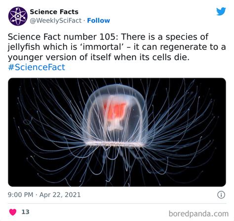 179 Science Facts That Are Deliciously Curious | Bored Panda