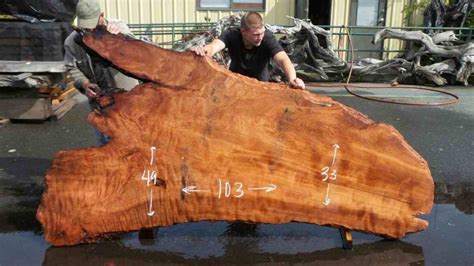 Redwood Burl Furniture | Redwood Burl Slabs | Redwood Burl Inc.