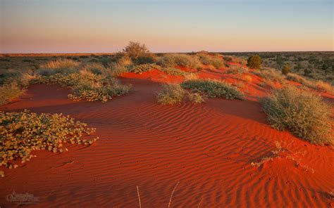 The stunning red desert | Australian desert, Landscape photos, Outback ...