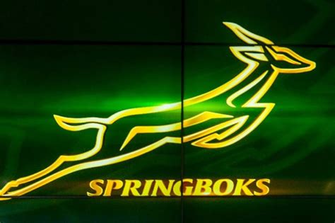 INSIGHT | Future of rugby’s Springbok emblem back in the spotlight