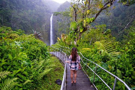 Akaka Falls Hike, Big Island, Hawaii - That Adventure Life