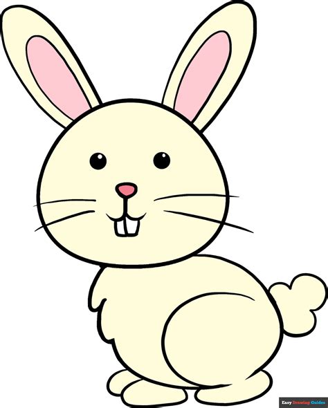 Rabbit Drawings For Kids