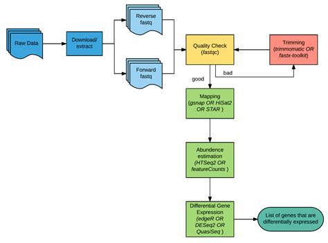 RNA Sequence Analysis - Bioinformatics Workbook