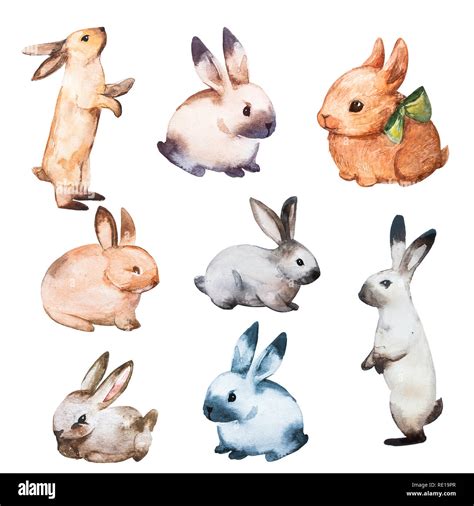 Rabbit Watercolor Set Flat Illustration. Isolated Colorful Cute Baby ...