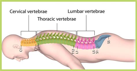 Herniated Disc - Segura Neuroscience & Pain Center