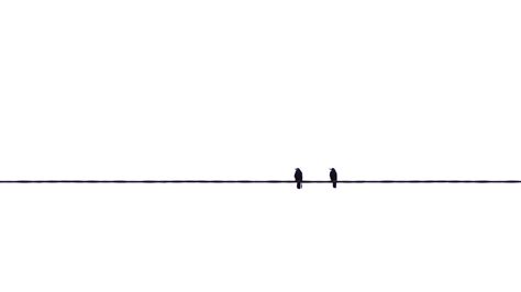 Two Birds On Wire Wallpapers - Wallpaper Cave