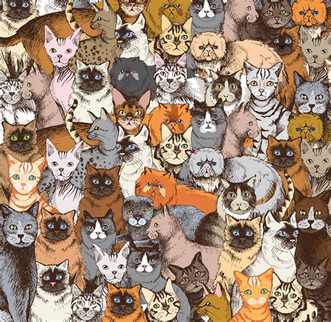 World’s Most Difficult Jigsaw Puzzle – Cats – Double Sided Puzzle – 15 ...