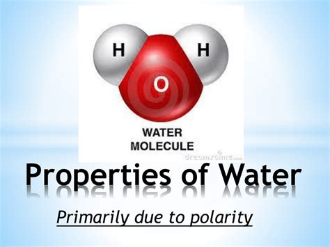 Properties of Water