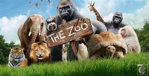 Zoo animals are the stars of new TV show - Whats On South West