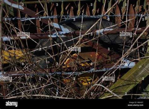 Barb wire fence hi-res stock photography and images - Alamy