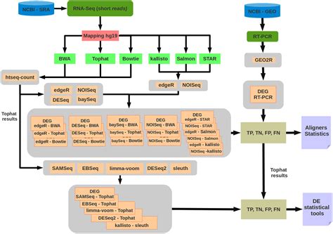 RNA-Seq differential expression analysis – an extended review and a new ...