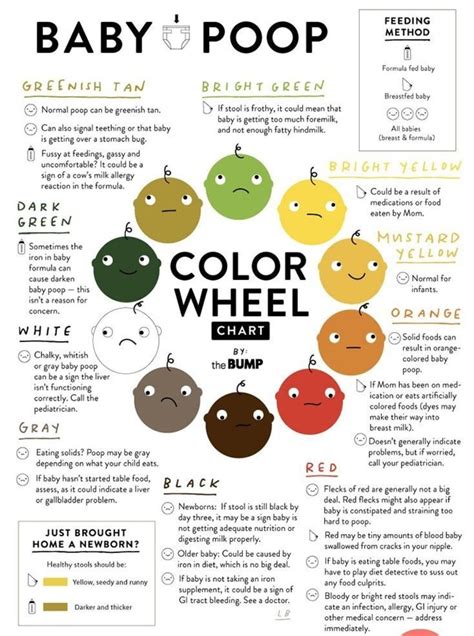 Color Of Your Poop Chart