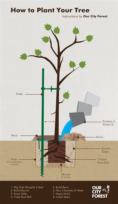 How To Incorporate Water Attributes Into Your Fairy Yard – The Love of ...